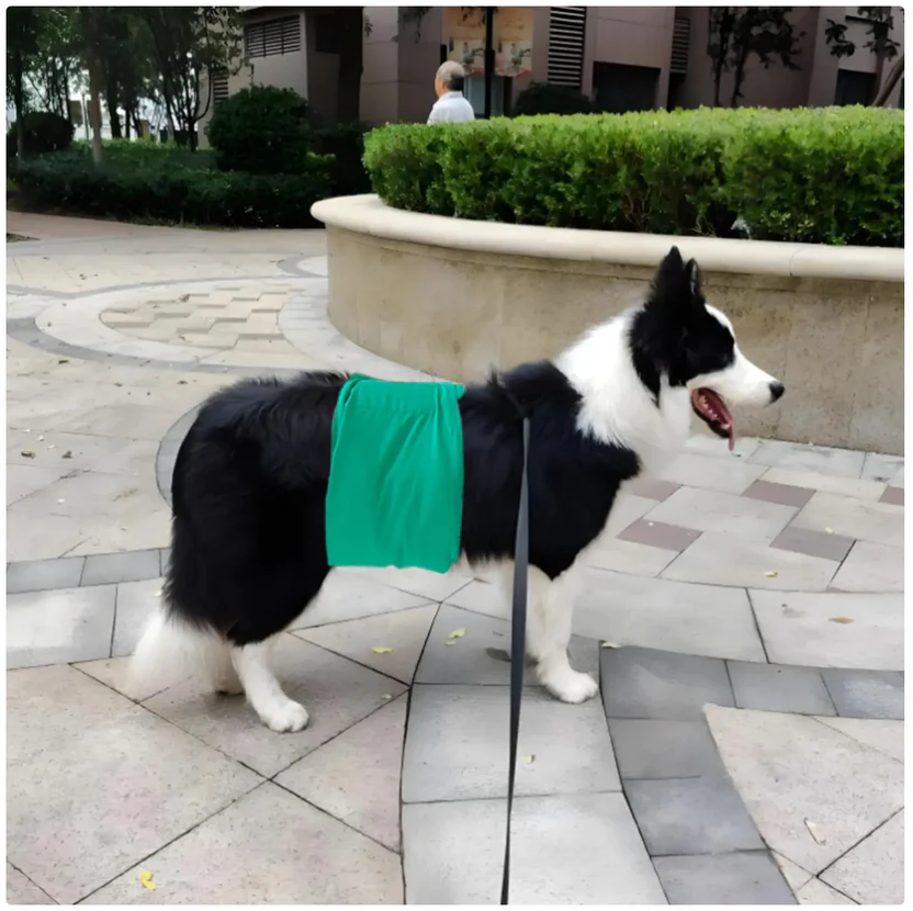 Komfortable Hundebleer – Hold Din Hund Ren og Dit Hjem Pletfrit