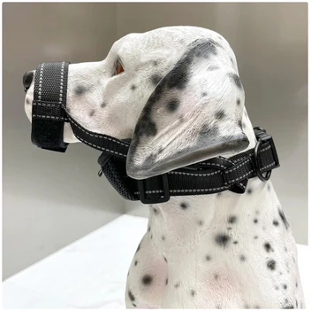 Justerbar Hundesnude i Åndbart Mesh