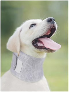 Justerbar Beskyttelseskrave til Hunde