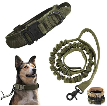 2-i-1 Hundehalsbånd med Udtrækkelig Line
